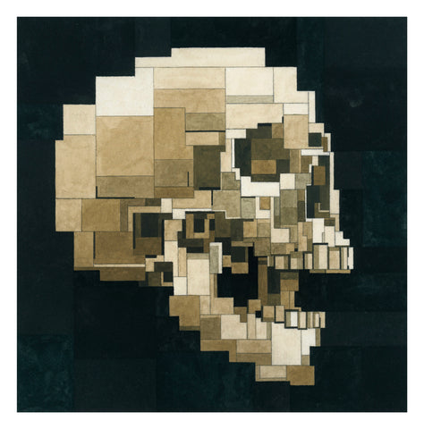 Human Skull