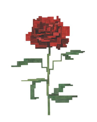 Red Rose