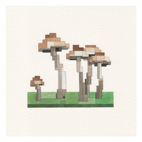 Mushrooms