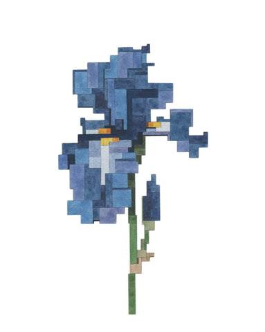 Blue Iris