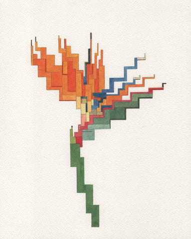 Bird of Paradise