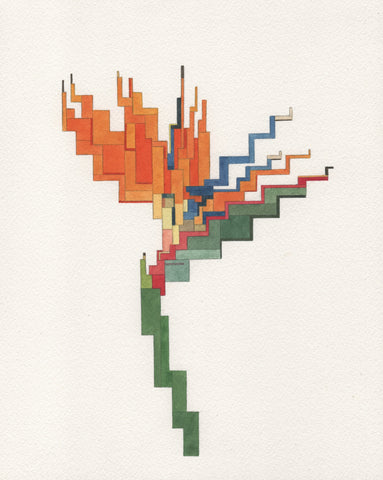 Bird of Paradise